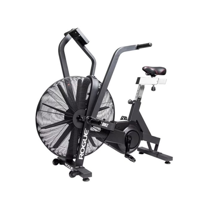 دوچرخه ایربایک باشگاهی روگ مدل Echo bike V3