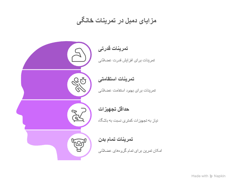 راهنمای طراحی یک برنامه ورزشی کامل فقط با دمبل در خانه