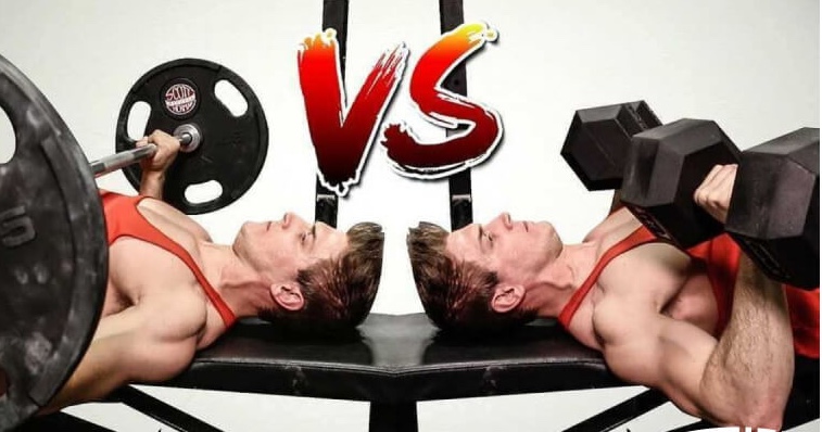 تمرین با دمبل بهتر است یا هالتر برای ناتقارنی عضلات- رکوردکالا